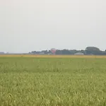 Rheiderland Oda ve Kahvaltı