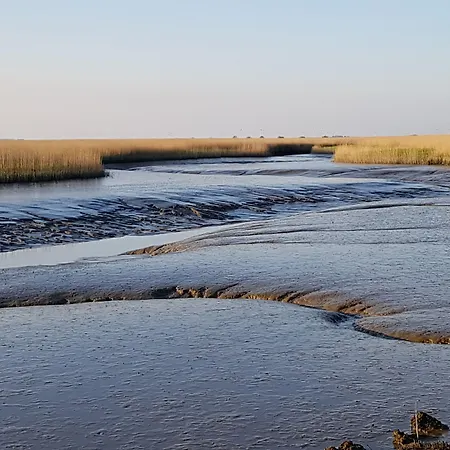 Bed & Breakfast Rheiderland 4*