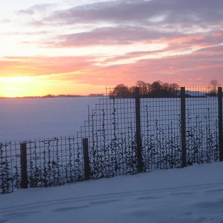 Rheiderland Bed & Breakfast 4*